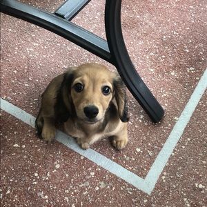 Meet your Posher, Wendy